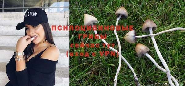 кокаин перу Карпинск
