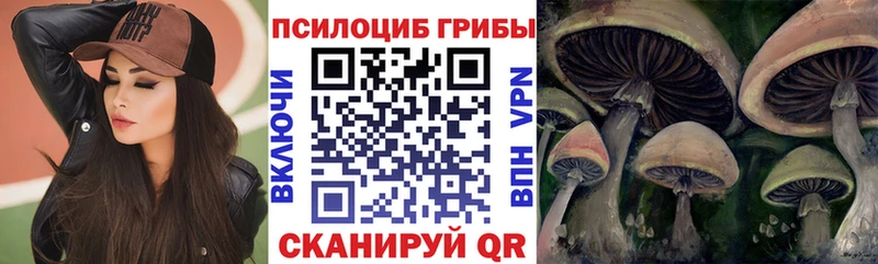Псилоцибиновые грибы мухоморы  Купить  Фрязино 