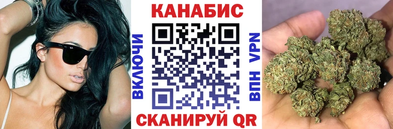 Купить закладки  Фрязино  Шишки марихуана тримм 